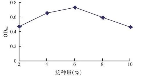 沼澤紅假單胞菌R1菌株的培養基配方、培養條件、生長量及影響因素（一）