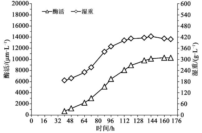 畢赤酵母植酸酶發酵工藝優化：比生長速率多少時甲醇流加補料效果最為理想？