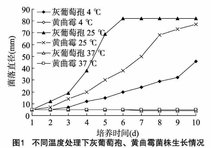 不同溫度、pH值、光照及培養基對灰葡萄孢、黃曲霉菌株生長影響