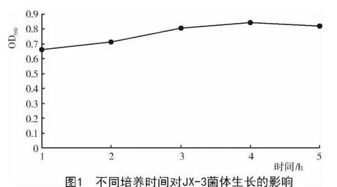 銀杏內生細菌JX-3最佳生長條件與影響因素