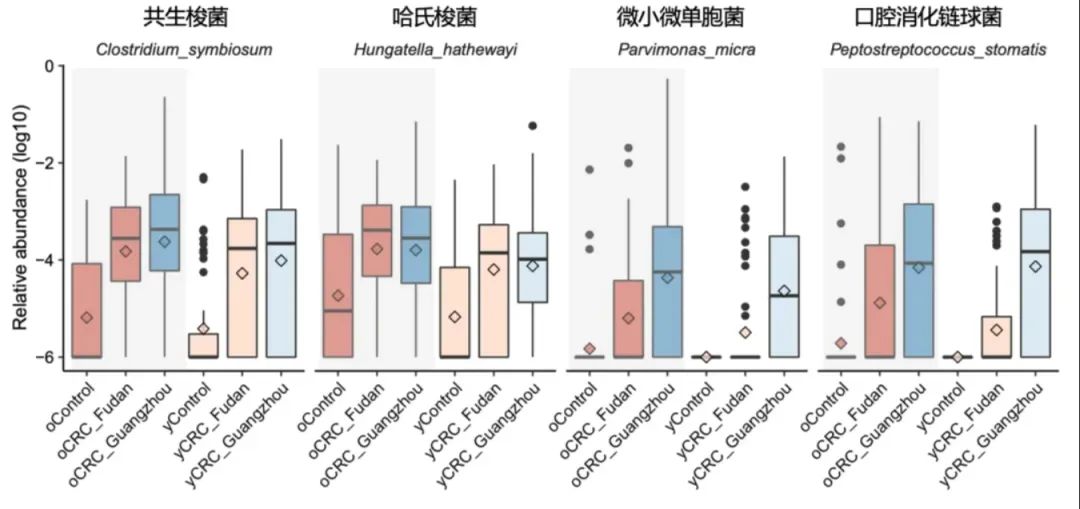 腸道糞便微生物與結直腸癌有何關聯？