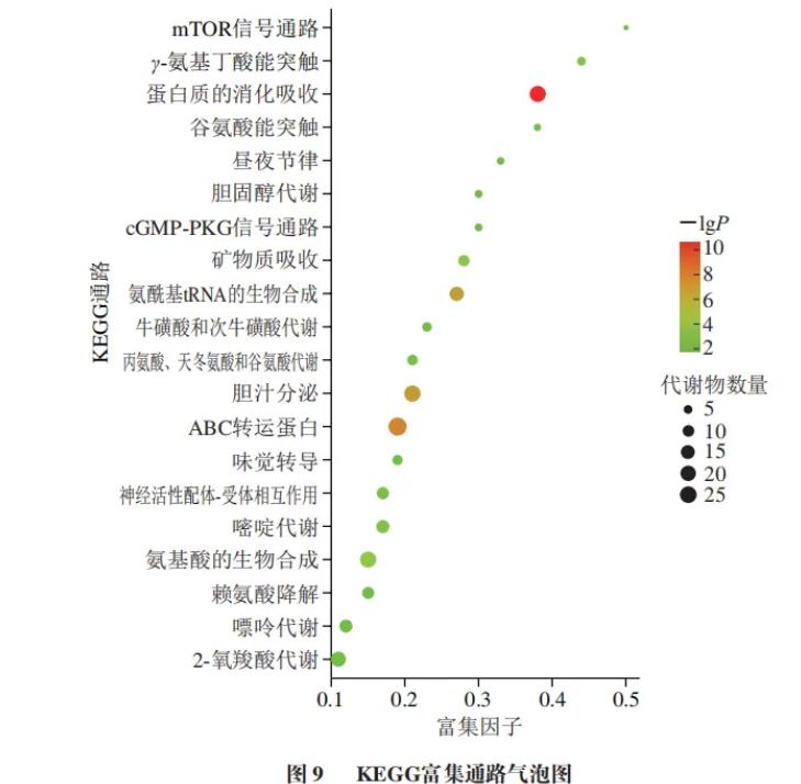 新一代益生菌Akk在兩種培養(yǎng)基中的生長情況與差異性代謝組學分析結(jié)果（二）
