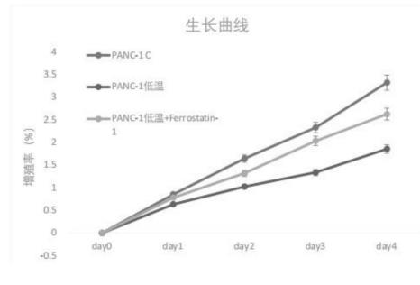 利用CIRBP作為胰腺癌診斷及治療分子標(biāo)記物（細(xì)胞增殖生長(zhǎng)曲線檢測(cè)步驟）