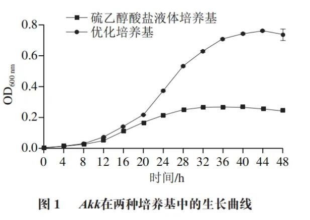 ?嗜黏蛋白阿克曼菌在硫乙醇酸鹽液體培養(yǎng)基中的生長(zhǎng)情況與代謝產(chǎn)物（一）