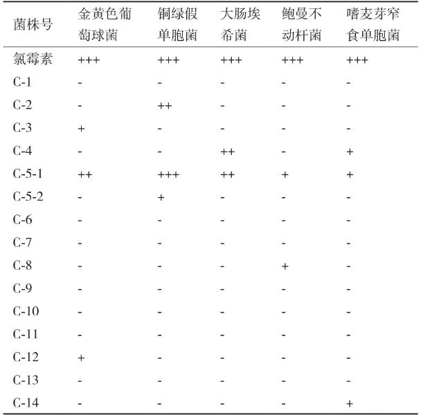 豨薟草果實內(nèi)生細(xì)菌分離、鑒定、生長特性、抑菌效果及藥敏分析（一）