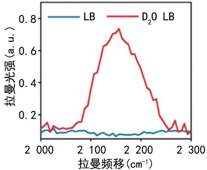 快速藥敏檢測方法、發(fā)展現(xiàn)狀|拉曼光譜在RAST領(lǐng)域中的應(yīng)用（一）
