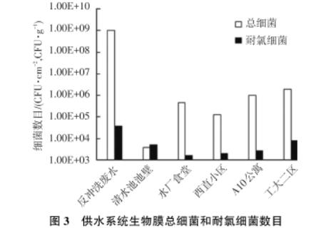 東北某市寒區(qū)湖庫型主體水和生物膜中耐氯菌數(shù)目、再生長現(xiàn)象研究（二）