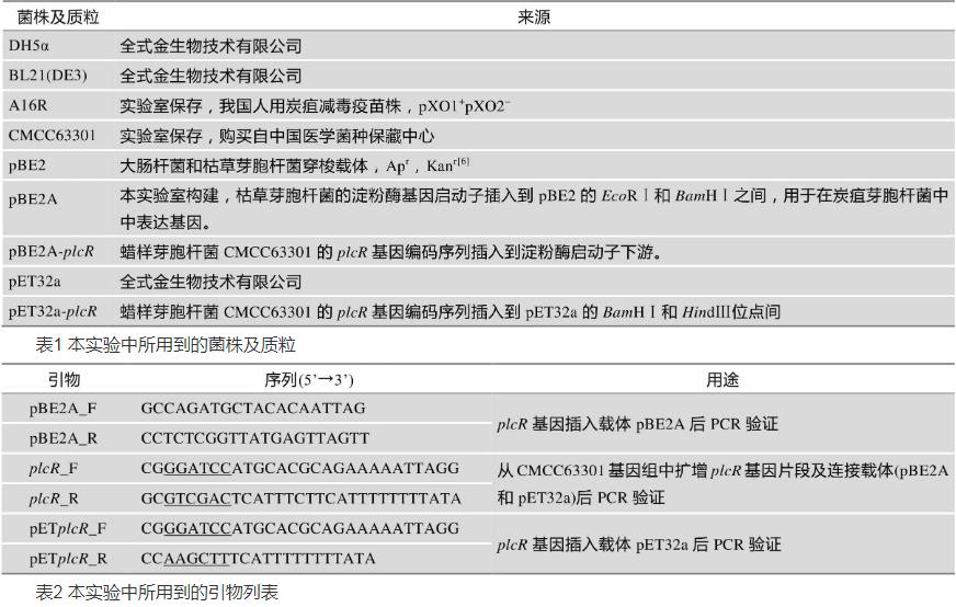 PlcR在炭疽芽胞桿菌A16R中對其生長狀態、溶血酶活性及神經磷脂酶活性影響（一）
