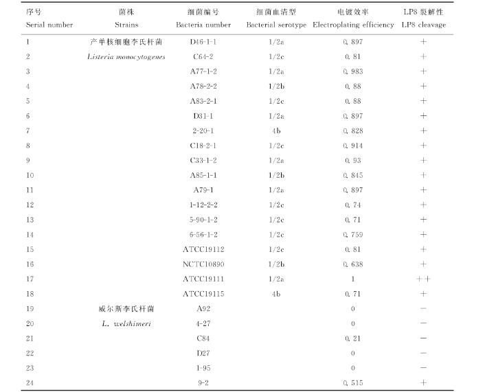 產(chǎn)單核細(xì)胞李氏桿菌噬菌體分離、超離、宿主譜鑒定及生長(zhǎng)曲線繪制（二）