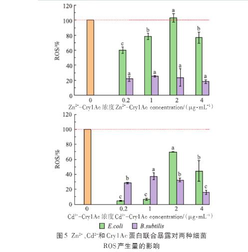 Zn2+、Cd2+、Cry1Ac蛋白單獨(dú)及聯(lián)合暴露對(duì)大腸桿菌和枯草芽孢桿菌的毒性作用（三）