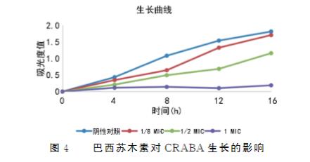 不同濃度巴西蘇木素對(duì)耐碳青霉烯類鮑曼不動(dòng)桿菌生長(zhǎng)及抑制作用（一）