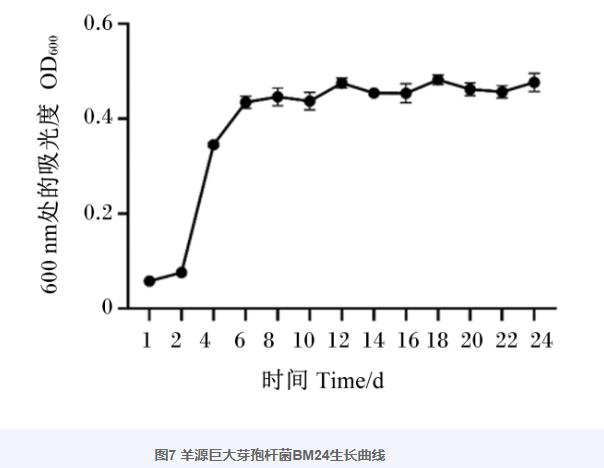 巨大芽孢桿菌BM24生長曲線、耐藥性、益生潛力評估及藥敏試驗（四）
