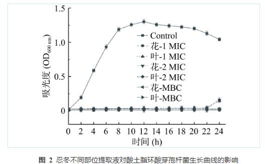 忍冬提取液對酸土脂環(huán)酸芽孢桿菌生長曲線、細(xì)胞形態(tài)和生物膜形成能力的影響（四）