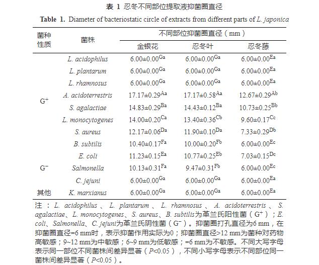 忍冬提取液對酸土脂環(huán)酸芽孢桿菌生長曲線、細(xì)胞形態(tài)和生物膜形成能力的影響（二）
