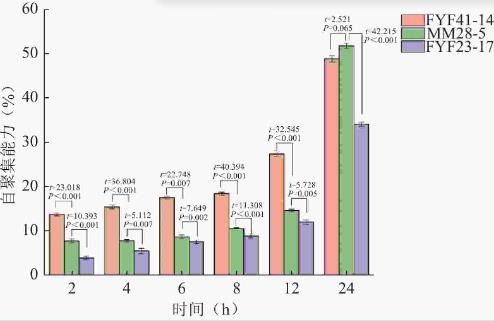 雙歧桿菌分離鑒定、耐受性試驗、益生特性試驗及安全性評價（一）