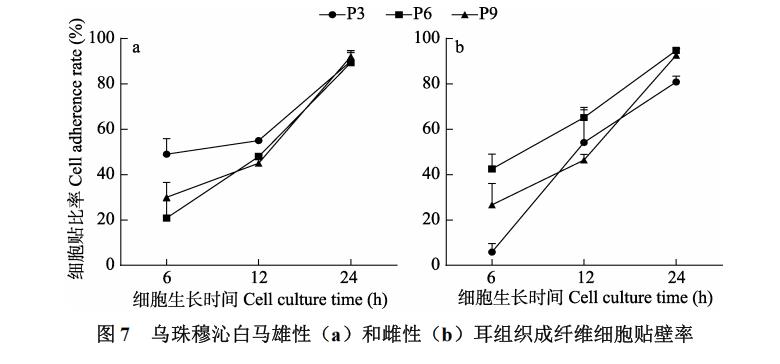 白馬耳組織成纖維細(xì)胞體外培養(yǎng)、冷凍前及復(fù)蘇后存活率、生長(zhǎng)曲線繪制（三）