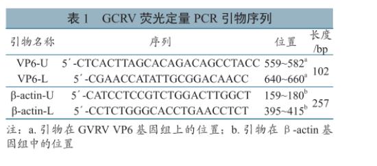 草魚(yú)呼腸孤病毒培養(yǎng)與滴度測(cè)定、及在草魚(yú)、CIK細(xì)胞上的生長(zhǎng)特性研究（一）